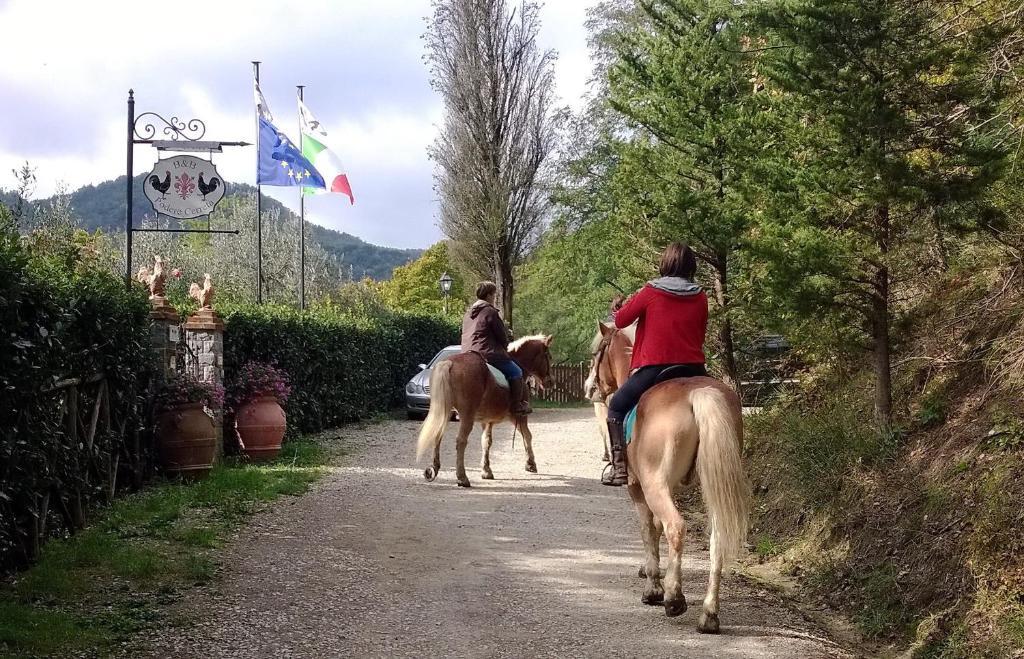 B&B Podere Cerreta San Godenzo Extérieur photo