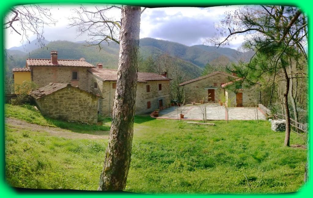 B&B Podere Cerreta San Godenzo Extérieur photo